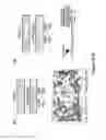 Fig. 11 - Benzimidazole derivatives and uses thereof