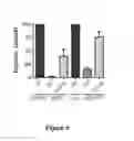 Fig. 22 - Benzimidazole derivatives and uses thereof