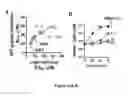 Fig. 32 - Benzimidazole derivatives and uses thereof