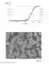 Fig. 04 - Microcrystalline diketopiperazine compositions and methods