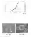 Fig. 06 - Microcrystalline diketopiperazine compositions and methods