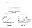 Fig. 07 - Activation or reactivation of ache