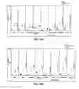 Fig. 28 - Activation or reactivation of ache