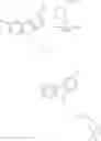 Fig. 20 - Aromatic monomers deriving from glycerol units, process for their preparation and use thereof for the preparation of water-soluble conjugated polymers