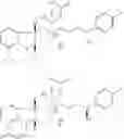 Fig. 04 - Substituted pyrido[3',4':4,5]pyrrolo[1,2,3-de]quinoxalines for inhibiting serotonin reuptake transporter activity