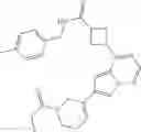 Fig. 199 - Compositions useful for treating disorders related to kit