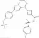 Fig. 287 - Compositions useful for treating disorders related to kit