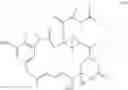 Fig. 24 - Maytansinoid derivatives with sulfoxide linker