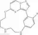 Fig. 102 - Macrocyclic LRRK2 Kinase Inhibitors