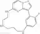 Fig. 104 - Macrocyclic LRRK2 Kinase Inhibitors