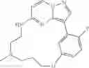 Fig. 108 - Macrocyclic LRRK2 Kinase Inhibitors