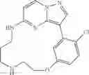 Fig. 110 - Macrocyclic LRRK2 Kinase Inhibitors