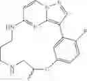 Fig. 111 - Macrocyclic LRRK2 Kinase Inhibitors