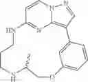 Fig. 113 - Macrocyclic LRRK2 Kinase Inhibitors