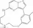 Fig. 124 - Macrocyclic LRRK2 Kinase Inhibitors