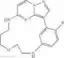 Fig. 131 - Macrocyclic LRRK2 Kinase Inhibitors