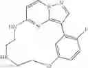 Fig. 134 - Macrocyclic LRRK2 Kinase Inhibitors