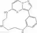 Fig. 136 - Macrocyclic LRRK2 Kinase Inhibitors