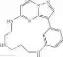 Fig. 137 - Macrocyclic LRRK2 Kinase Inhibitors