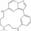 Fig. 138 - Macrocyclic LRRK2 Kinase Inhibitors