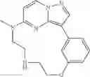 Fig. 141 - Macrocyclic LRRK2 Kinase Inhibitors