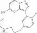 Fig. 145 - Macrocyclic LRRK2 Kinase Inhibitors