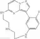Fig. 146 - Macrocyclic LRRK2 Kinase Inhibitors