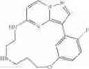 Fig. 148 - Macrocyclic LRRK2 Kinase Inhibitors