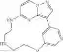 Fig. 151 - Macrocyclic LRRK2 Kinase Inhibitors