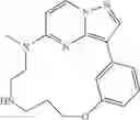 Fig. 160 - Macrocyclic LRRK2 Kinase Inhibitors
