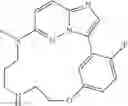 Fig. 162 - Macrocyclic LRRK2 Kinase Inhibitors