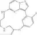 Fig. 166 - Macrocyclic LRRK2 Kinase Inhibitors