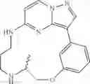 Fig. 168 - Macrocyclic LRRK2 Kinase Inhibitors