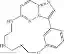 Fig. 169 - Macrocyclic LRRK2 Kinase Inhibitors