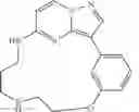Fig. 17 - Macrocyclic LRRK2 Kinase Inhibitors