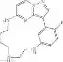 Fig. 183 - Macrocyclic LRRK2 Kinase Inhibitors