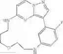 Fig. 186 - Macrocyclic LRRK2 Kinase Inhibitors