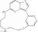 Fig. 202 - Macrocyclic LRRK2 Kinase Inhibitors
