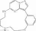 Fig. 41 - Macrocyclic LRRK2 Kinase Inhibitors