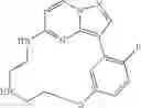 Fig. 56 - Macrocyclic LRRK2 Kinase Inhibitors