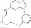 Fig. 62 - Macrocyclic LRRK2 Kinase Inhibitors