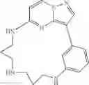Fig. 71 - Macrocyclic LRRK2 Kinase Inhibitors
