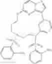 Fig. 79 - Macrocyclic LRRK2 Kinase Inhibitors