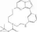 Fig. 80 - Macrocyclic LRRK2 Kinase Inhibitors