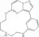 Fig. 81 - Macrocyclic LRRK2 Kinase Inhibitors