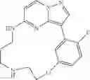 Fig. 88 - Macrocyclic LRRK2 Kinase Inhibitors