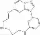 Fig. 90 - Macrocyclic LRRK2 Kinase Inhibitors