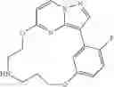 Fig. 91 - Macrocyclic LRRK2 Kinase Inhibitors