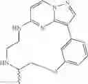 Fig. 92 - Macrocyclic LRRK2 Kinase Inhibitors