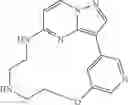 Fig. 94 - Macrocyclic LRRK2 Kinase Inhibitors